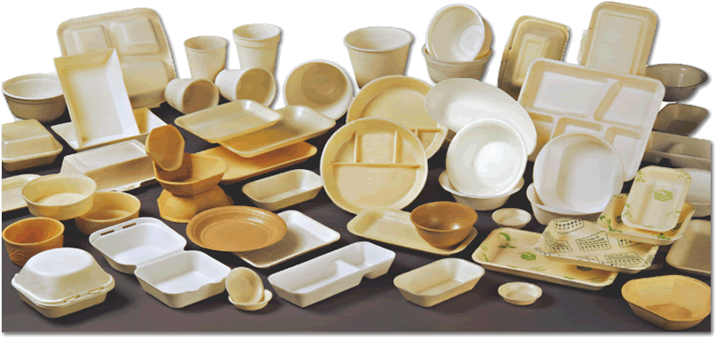 Platos y vasos biodegradables cheap